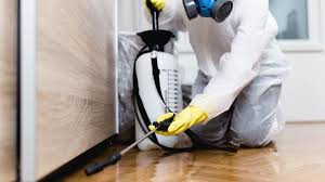 Emergency Pest Control Services in Brawley, CA